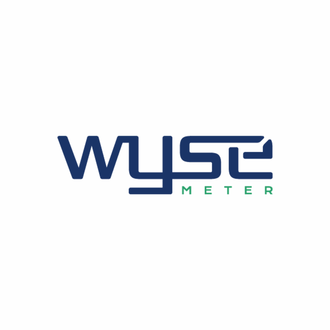 Wyse Meter Solutions